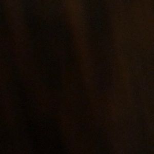 Meet your Posher, Zoe